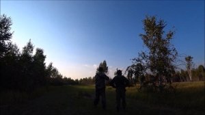 Охота на косулю на гону.Рёв 2019 г.