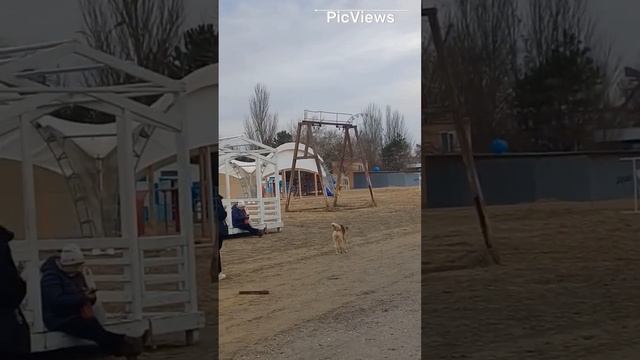Анапа. Центральный пляж. Обстановка на пляже море и погода сегодня 14 декабря 2023