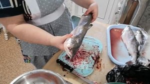 Опять горбуша?. Солим.