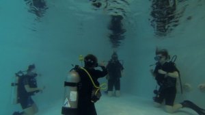 Discover Scuba Diving 28.01.2017 (altadive.ru)