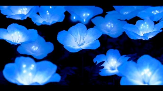 СНЯТИЕ ТРЕВОГИ - ОСВОБОЖДЕНИЕ ОТ СТРЕССА, БЕСПОКОЙСТВА И ОБДУМЫВАНИЯ | МУЗЫКА ДЛЯ РЕЛАКСАЦИИ смотреть онлайн