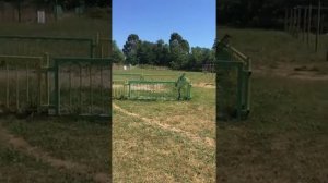 Автокемпинг в Абхазии»Дикая Гавань»