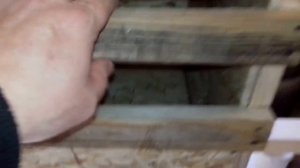 КАК СДЕЛАТЬ ГНЕЗДО для кур с яйца сборником