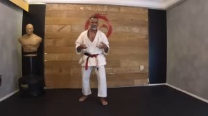 Karate do Zero ao Avançado