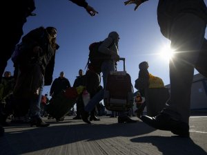 Украинские беженцы в Европе ведут себя, как неблагодарные свиньи