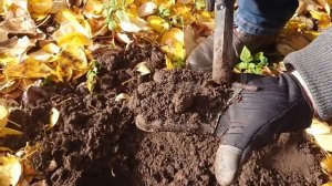 Коп на мусоре с металлоискателем АКА Беркут-5.