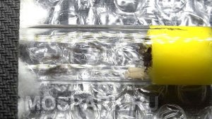 Как переселить муравьев в новую ферму или инкубатор