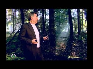 "Следствие вели...": "Скелет в подвале"