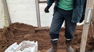 Подготовка земли к посадке семечки гигантской тыквы. Растим большие тыквы.