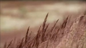 Андрей МИСИН "Перегуд"