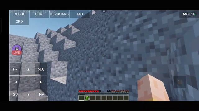 How to make Minecraft on mobile look STUNNING #minecraft #java #android #gaming #shaders