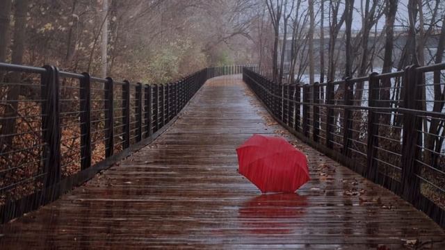 ЗВУК ДОЖДЯ И ГРОМА смотреть онлайн