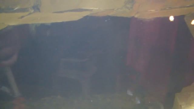 Показатели ДОЖДЕВОЙ воды в АКВАРИУМЕ !!! смотреть онлайн