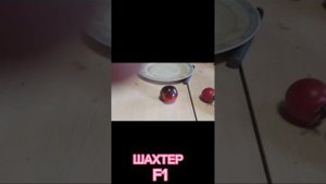 5 сортов Близнецов томатов mp4