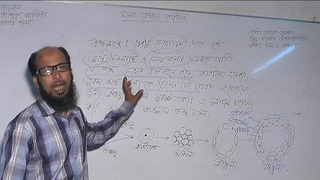 একাদশ/দ্বাদশ শ্রেণির প্রাণিবিদ্যা বিষয়ের পাঠদান смотреть онлайн