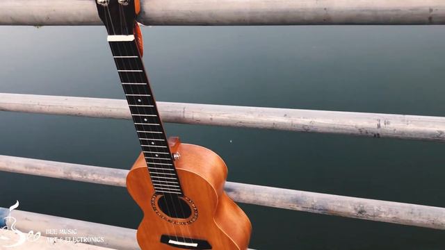 enya EUC200A concert ukulele смотреть онлайн