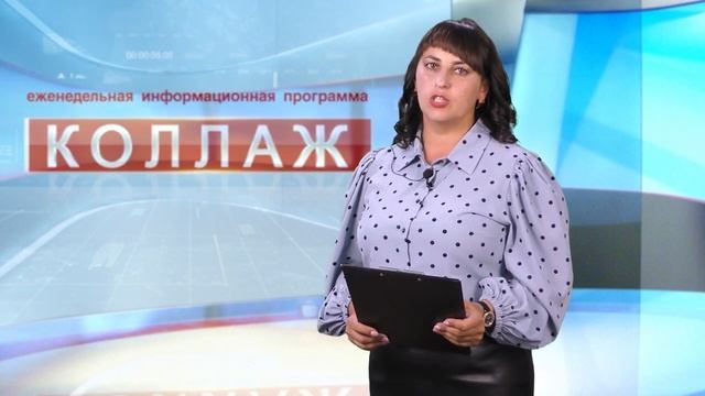 Коллаж 24.08.2023