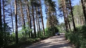 Ленинградская область. Коркинское озеро