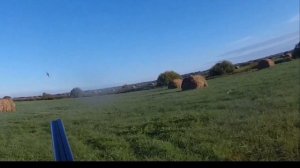 Охота в августе  Охота с легавой  По заливным лугам  Дупель