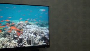 Обзор монитор BENQ GW2780 ; BL2780
