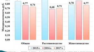 АНАЛИЗ И ПУТИ ПОВЫШЕНИЯ ЭФФЕКТИВНОСТИ ИСПОЛЬЗОВАНИЯ материальных ресурсов СЕЛЬСКОХОЗЯЙСТВЕННОЙ ОРГА