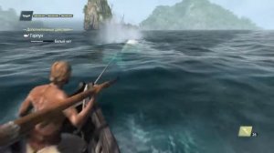Assassins creed 4 black flag.Охота на белого кита