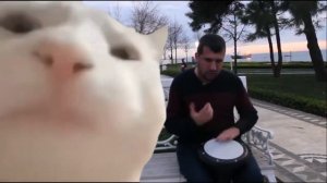 Мужик бьёт в барабаны а кот танцует рядом