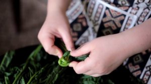 Ինչպե՞ս հյուսել ավելուկ/Как заплетать конский щавель/авелук?