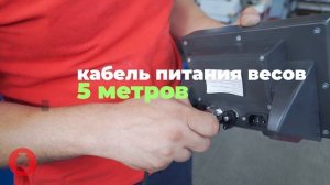 Платформенные весы Эльтон.