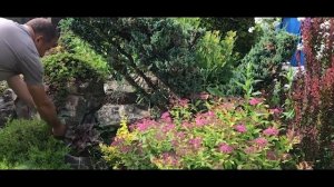 Как сделать ландшафтный дизайн на 12 сотках?Садовый дизайн?