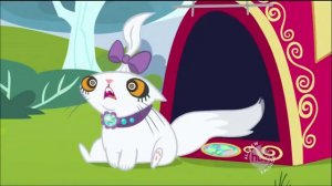 MLP:FIM 207 - May the best pet win