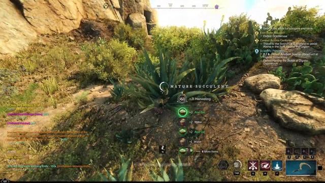 New World: Aloe Gel Best Farm Place смотреть онлайн