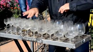Игра на бокалах с водой в Никитском ботаническом саду
