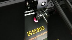 З-Д принтер WANHAO Duplicator 6 первый запуск из коробки