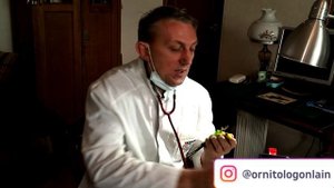 От чего растет клюв у попугая..mp4