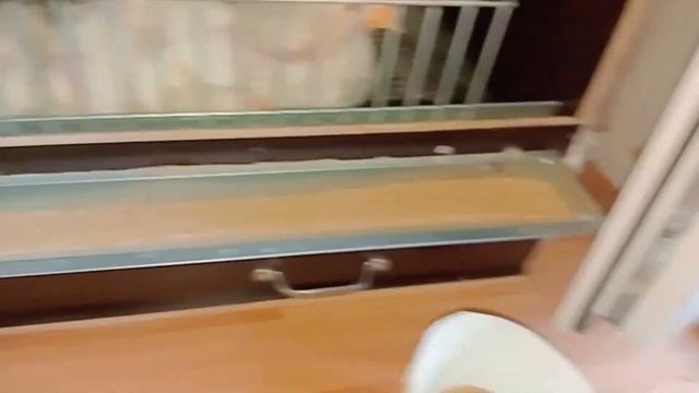 Бройлер на кухне и робот-пылесос?вес бройлеров в 25 дней!