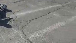 у пацана картинг с двигателем от бензокосы