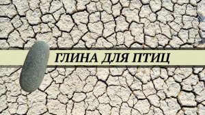 Глина для птиц:  попугаев, канареек, амадин, певчих птиц, сов, врановых птиц. Как и сколько давать.