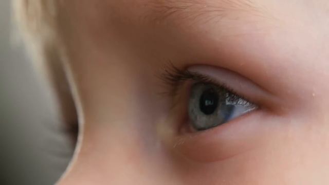 Маленький мальчик потерялся в лесу, но когда соседская собака привела родителей на нюх, оказалось… смотреть онлайн