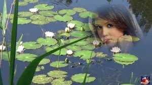 А.Айвазов.Лилии