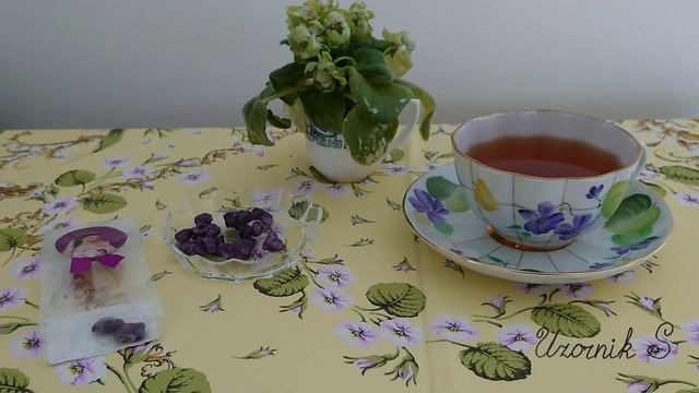 Узамбарская фиалка в интерьере. Наши композиции смотреть онлайн