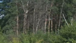 Кордовая учебная модель самолета с двигателем Мк-17