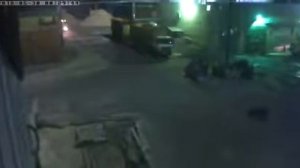 Медведь в Усть-Илимске