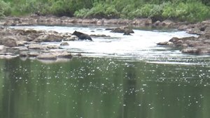 РЫБАЛКА НА СПИННИНГ / ПОХОД НА ИЗБУ / ТАЕЖНАЯ РЕЧКА  / рыбалка в тайге