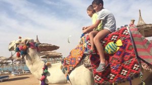 Катание на верблюде в Египте