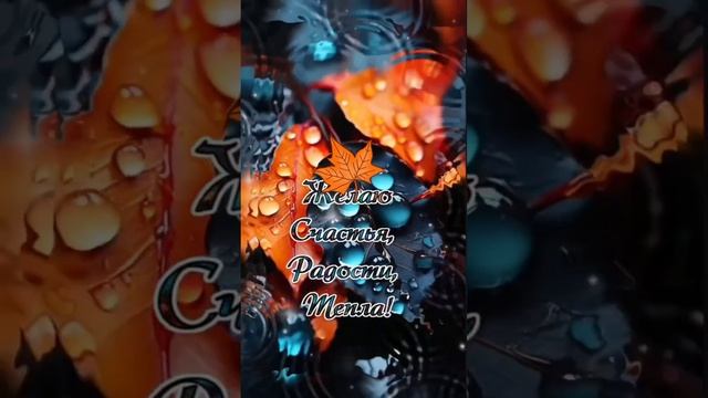 Чудесного вечера! Хорошего отдыха! смотреть онлайн