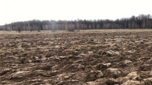 Расчистка поля продолжается ввод залежных земель сельхозназначения