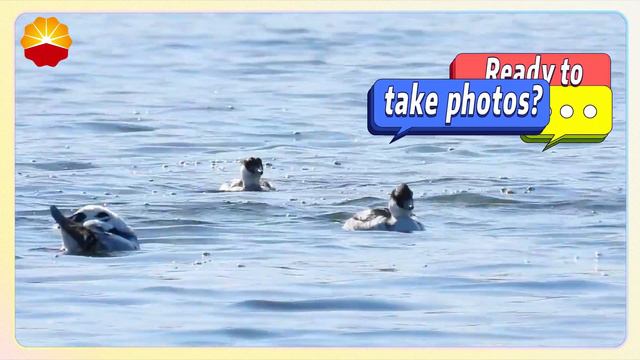 Река Юндин смотреть онлайн