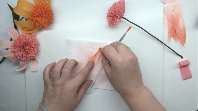 Echinacea / Эхинацея -лекарственное растение
