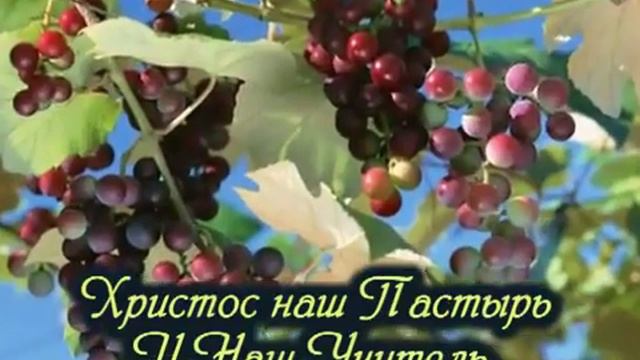 Христос есть свет караоке плюс смотреть онлайн